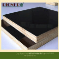 Film Faced Plywood or Construction Plywood